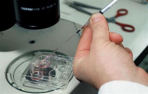 Mariage Gay La PMA Ne Sera Pas Dans Le Texte De Loi