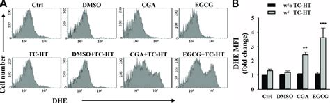 Combined Effects Of The Tc Ht And The Cga Or Egcg On Ros Generation In