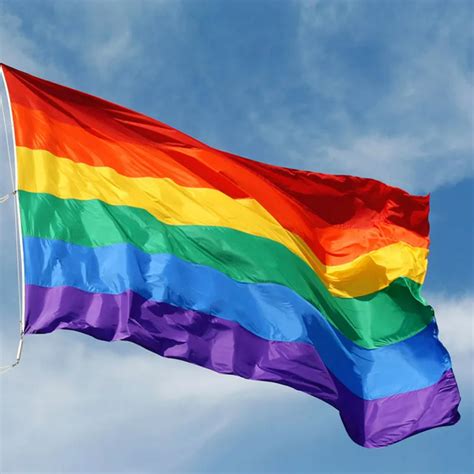 Gay Friendly Rainbow Flag Banners Pro Lesbian Gay Pride Lgbt Flag