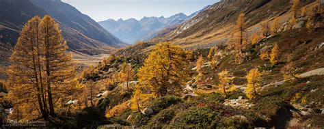 Fall Foliage – Autumn Leaves Colors | Ansermoz-Photography