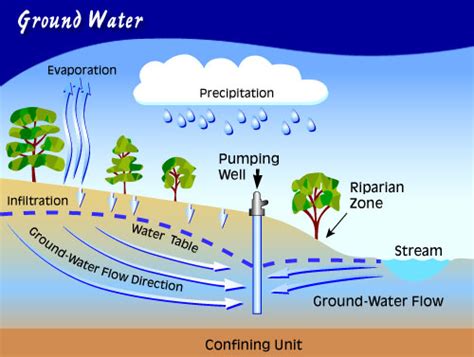 Fun Facts - Groundwater and aquifers