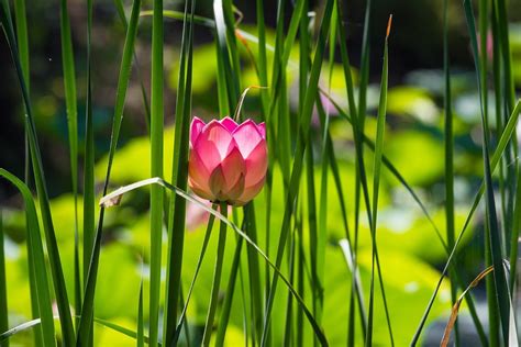 Достопримечательности Волгограда - что посмотреть за 1-2 дня в Волгограде
