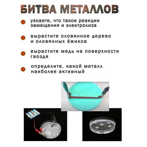 Эксперимент "Битва металлов" Master IQ - Физика - Наука и Эксперименты ...