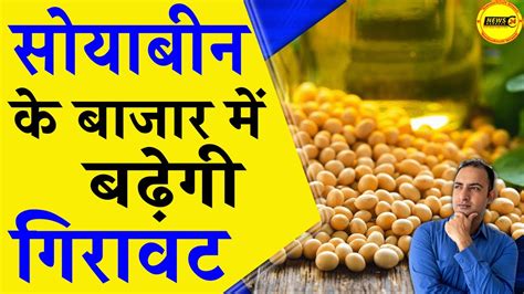 सोयाबीन के बाजार में बढ़ेगी गिरावट आज का सोयाबीन का रेट Soyabean