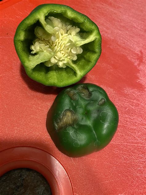 Bell Peppers Go Bad At Cynthia Cawley Blog