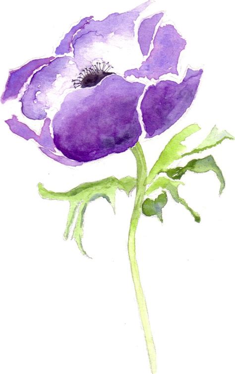 Anemone Aquarel Kaarten Met Paarse Bloemen Wenskaarten Etsy