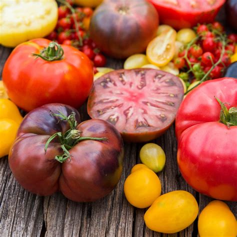 Exploring The Rich History And Flavors Of Heirloom Tomatoes