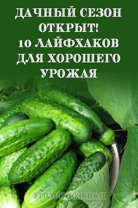 Вот, например, вы знаете, зачет перед посадкой замачивать семена в пер ...