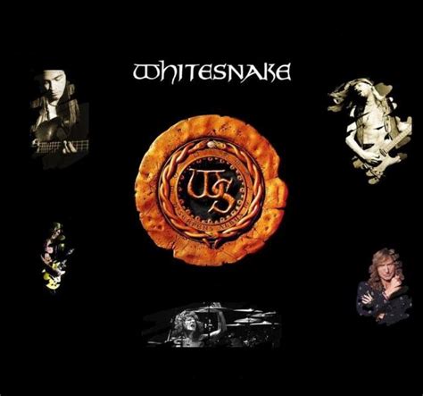 🔥 Free Download Wallpaper Whitesnake Made By Darky By Clarenceb