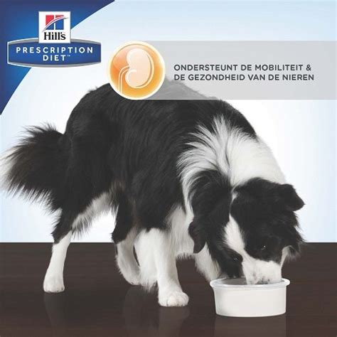Hill's k/d + Mobility - Prescription Diet - Canine