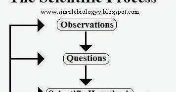 biological method simplebiology