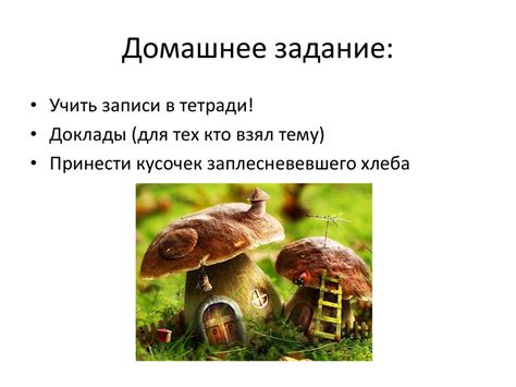 Царство Грибы. 6 Класс - презентация онлайн