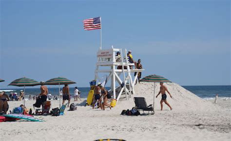 Great white sharks detected off New York and New Jersey