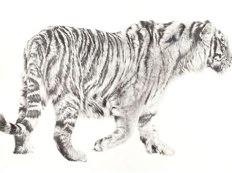 Siberian Beauty ORIGINAL | nicolajpetportraits