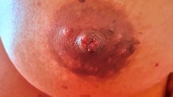 Perfec Tits XNXX