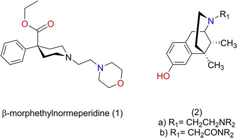 Truncated Morphinan Derivative Scaffolds Legend 1 Fentanyl Like