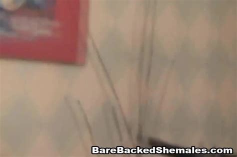 Hot Big Tits Shemale Bareback Ass Fuck And Cum Feat Alessandra Leite By Bare Backed Shemales