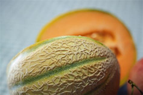 Melone Frutto - Free photo on Pixabay - Pixabay