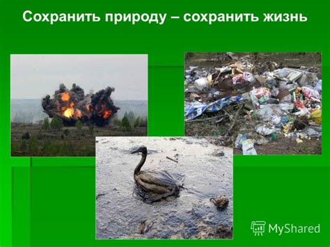 Презентация на тему: "Поиск разумного баланса в отношениях человека и ...