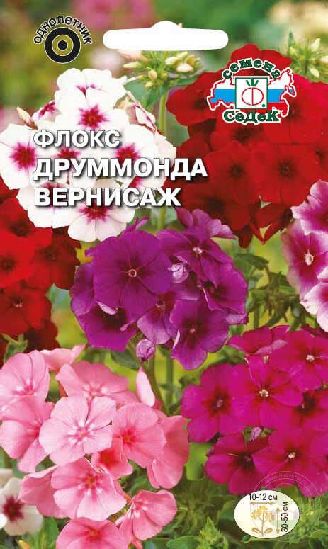 Флокс Друммонда Вернисаж смесь купить семена по низкой цене, доставка ...