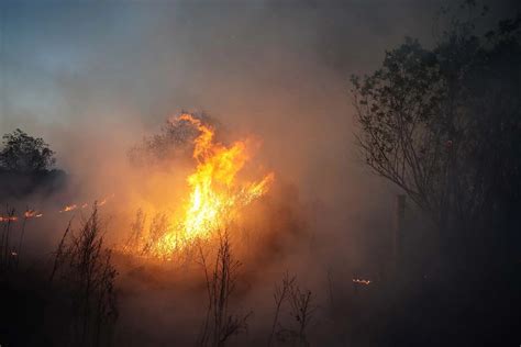 Reporte Oficial Por Los Incendios En Argentina Hay Focos Activos En