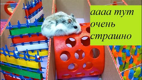 Я ПОПАЛ В ОЧЕНЬ СТРАШНУЮ ИГРУ - YouTube