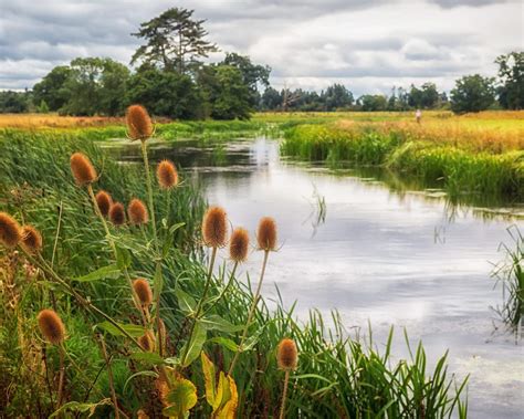 adventure  activity holidays   uk kayak