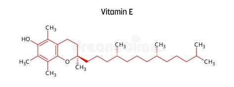 Vitamin E Structural Formula of Molecular Structure Stock Vector - Illustration of element ...