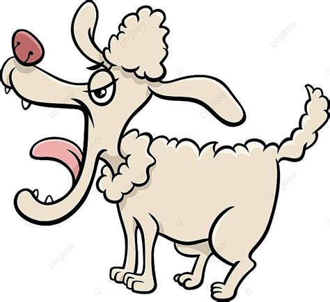 Angry Poodle Dog Cartoon Illustration Domestic Animal Mad White Vector