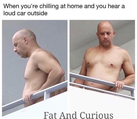 Fat Curious