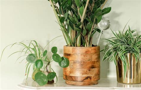 The 25 Prettiest And Most Affordable Indoor Plant Pots To Brighten Up Your Home Grazia