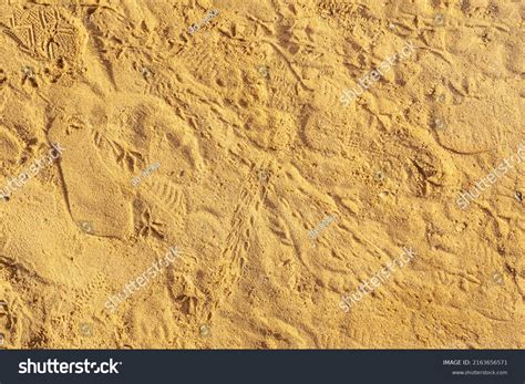 Crab Footprints On Sand Animal Footprints Stock Photo 2163656571