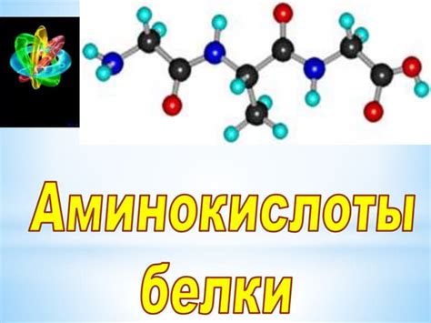 Аминокислоты | PPT