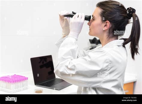 Forensic Laboratory Worker Studying Samples With Refractometer And