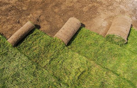 Premium Photo Roll Of Natural Grass Turfs Rolls