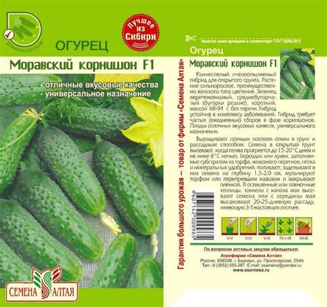 Огурец Моравский корнишон f1: характеристика и описание гибридного ...