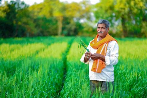 apply  kisan credit card credit support   farmer boi