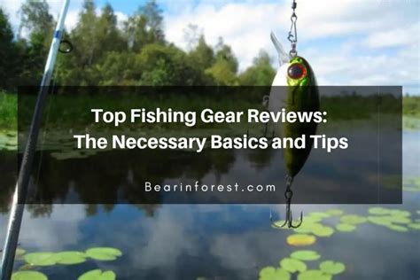 Top Fishing Gear Reviews: The Necessary Basics and Tips - Bearinforest