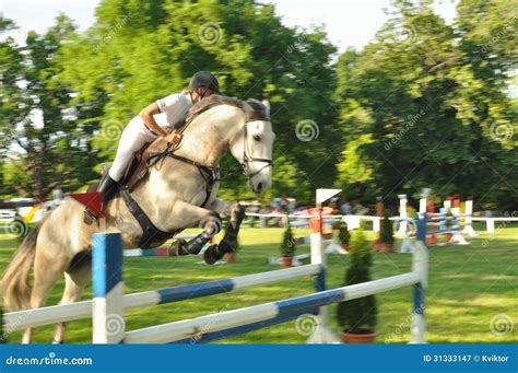 Horse With Female Jockey Jumping A Hurdle Editorial Photography Image