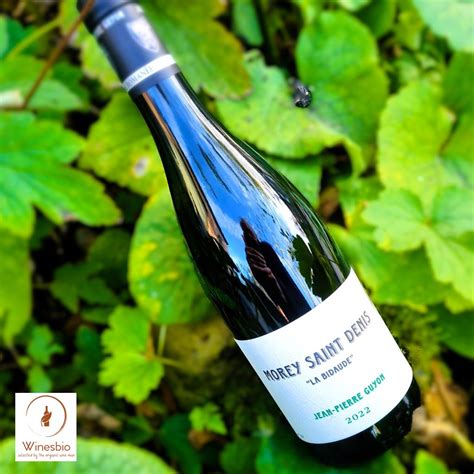 Domaine Jean-Pierre Guyon Morey-Saint-Denis 'La Bidaude' 2023 ...