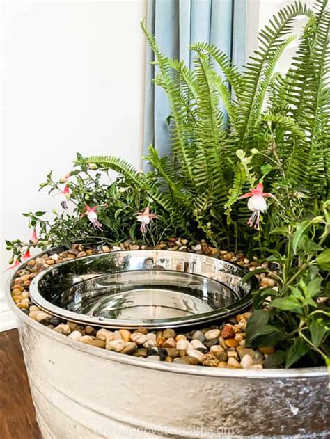 Diy Dog Water Bowl Planter Easy Tutorial And Safe Plants Renovated Faith