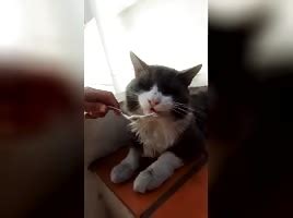 Naked Periscope Shesfreaky