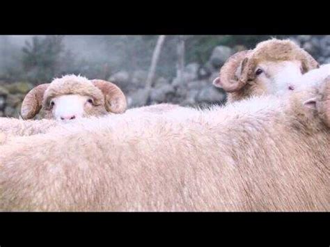 Innocence In Danger Sex Toys Ads Of The World Part Of The Clio Network