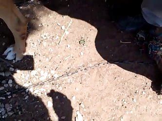 Best All Porn Videos Page 15 At Z00 Rocks