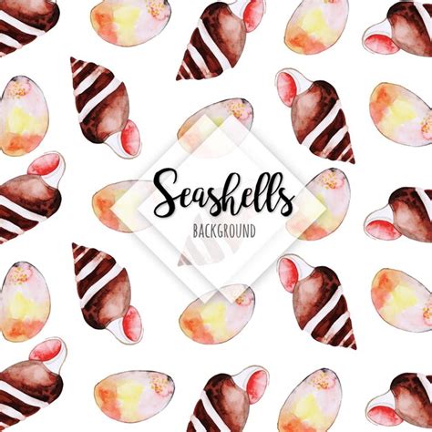 Premium Vector | Beautiful watercolor seashells background