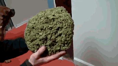 Post Tyranasaurus Sex Tumblr Tumbex