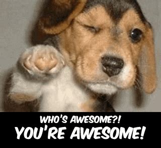 You Are Awsome GIFs - Find & Share on GIPHY