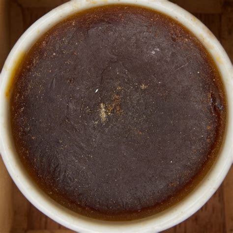 Therebinthina Veneta (Venetiaanse terpentijn) – Nationaal Farmaceutisch ...