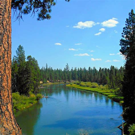 Discover The Best Things To Do In Lapine Oregon Rival Realty Group