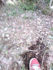 Vikinga Morena Luscious Hentai Manga Porn